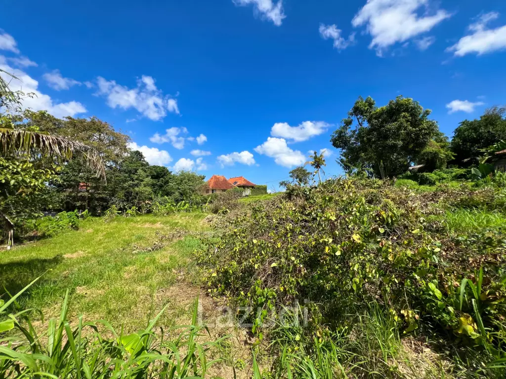 FREEHOLD LAND IN NYANYI, PERFECT FOR YOUR DREAM VILLA!