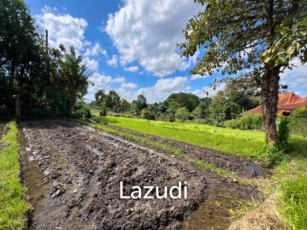 FREEHOLD LAND IN NYANYI, PERFECT FOR YOUR DREAM VILLA!