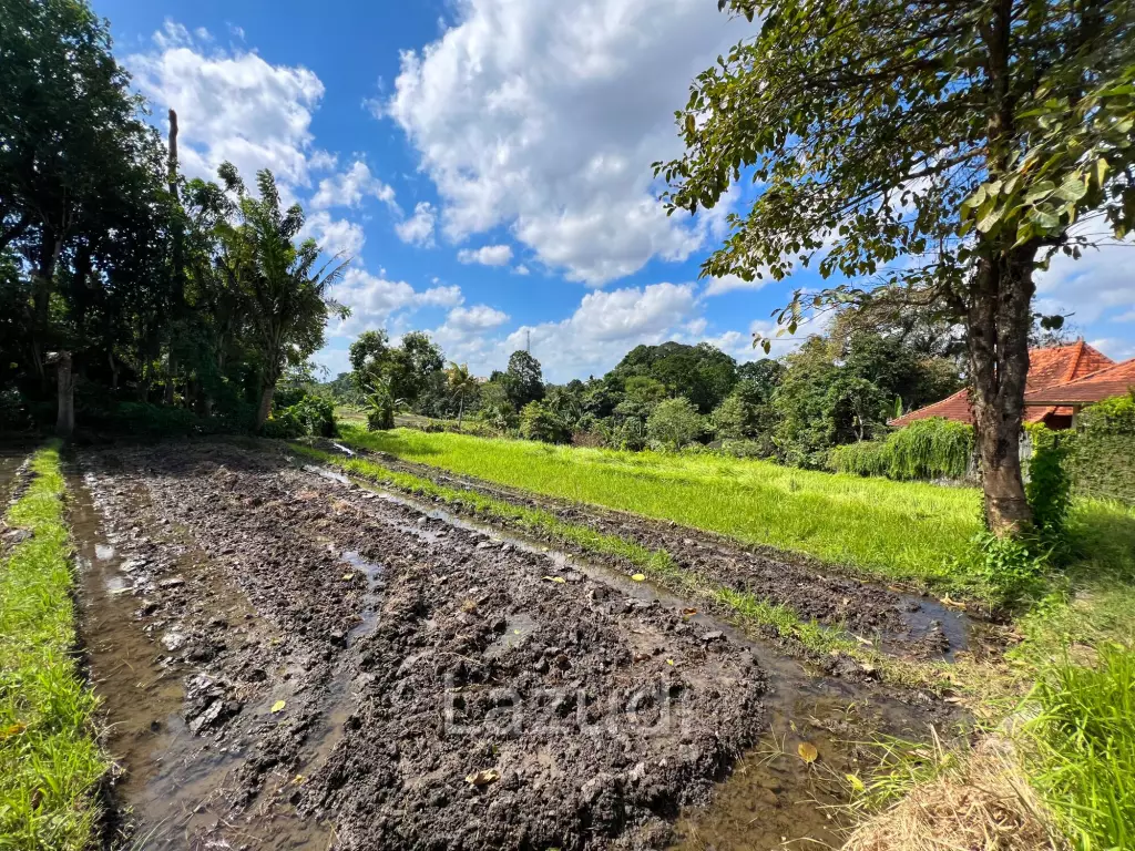 FREEHOLD LAND IN NYANYI, PERFECT FOR YOUR DREAM VILLA!