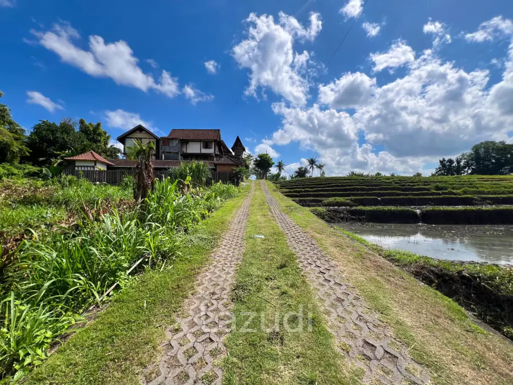 FREEHOLD LAND IN NYANYI, PERFECT FOR YOUR DREAM VILLA!