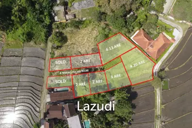 FREEHOLD LAND IN NYANYI, PERFECT FOR YOUR DREAM VILLA!