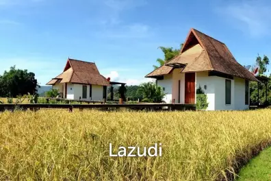 Luxury Hotel Resort for Sale in Chiang Rai