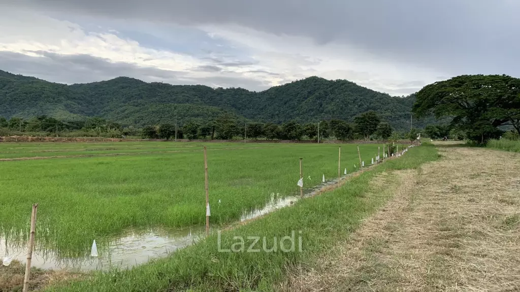 Land for Sale With Stunning Mountain View in Ban Du
