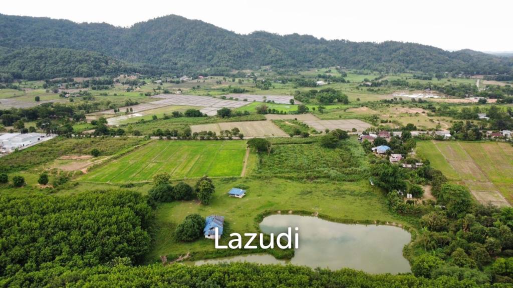 Land for Sale With Stunning Mountain View in Ban Du