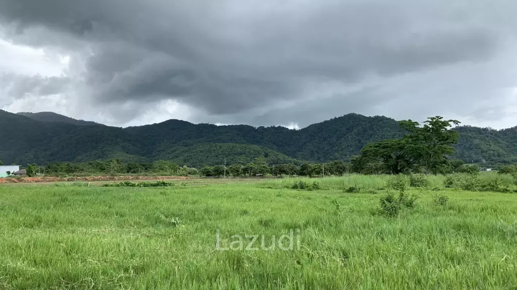 Land for Sale With Stunning Mountain View in Ban Du