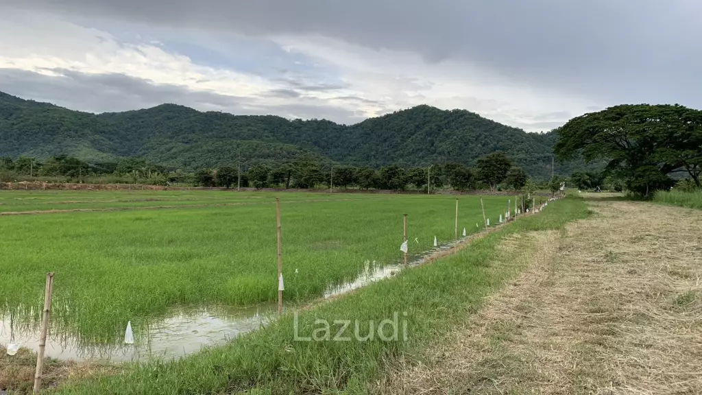 Land for Sale With Stunning Mountain View in Ban Du