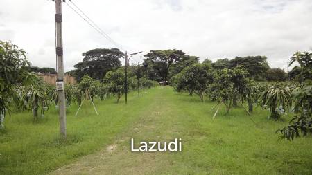 18 Rai Land with organic fruit trees for sale