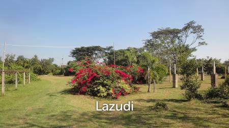 18 Rai Land with organic fruit trees for sale