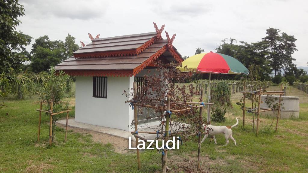 18 Rai Land with organic fruit trees for sale