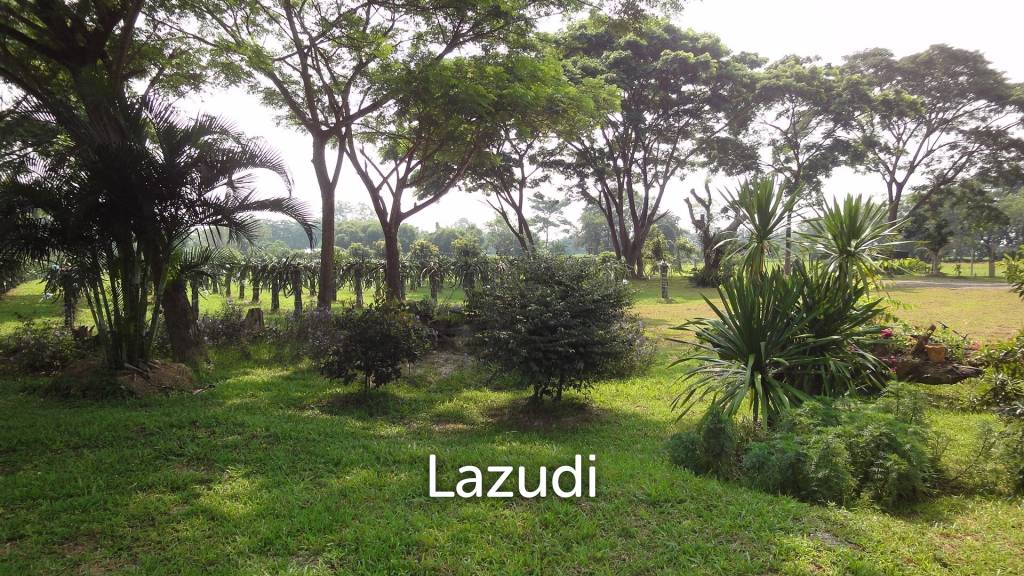 18 Rai Land with organic fruit trees for sale