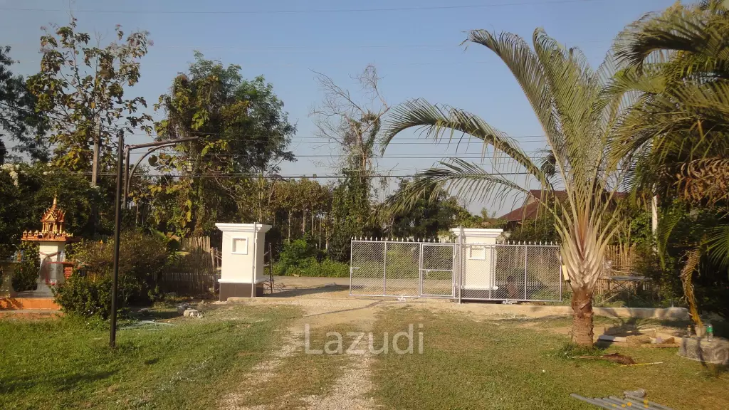18 Rai Land with organic fruit trees for sale