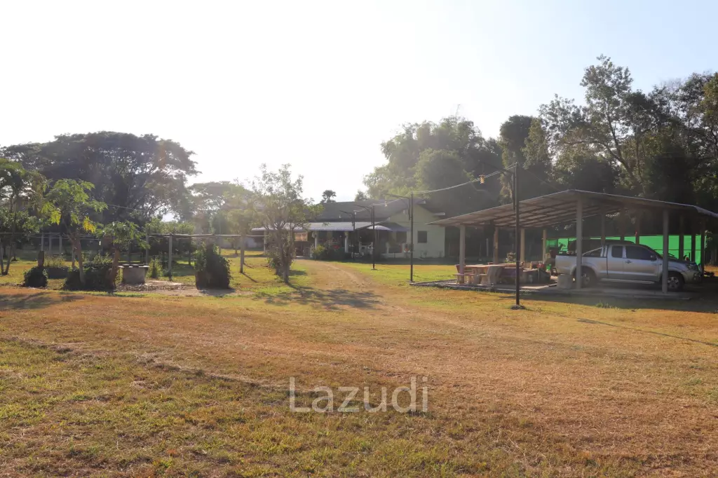 18 Rai Land with organic fruit trees for sale