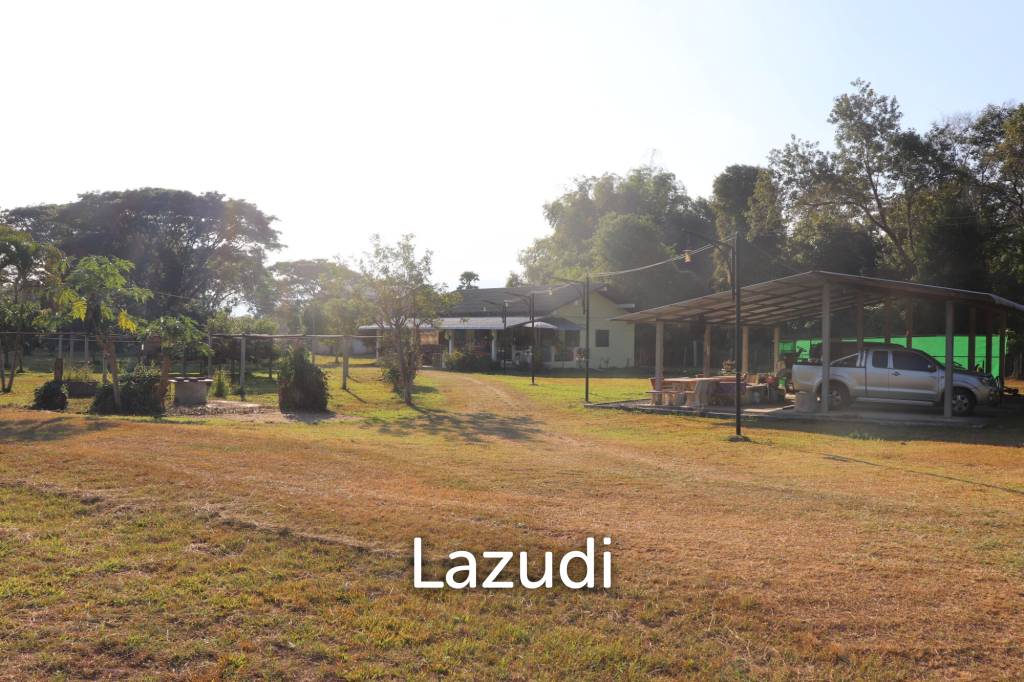 18 Rai Land with organic fruit trees for sale