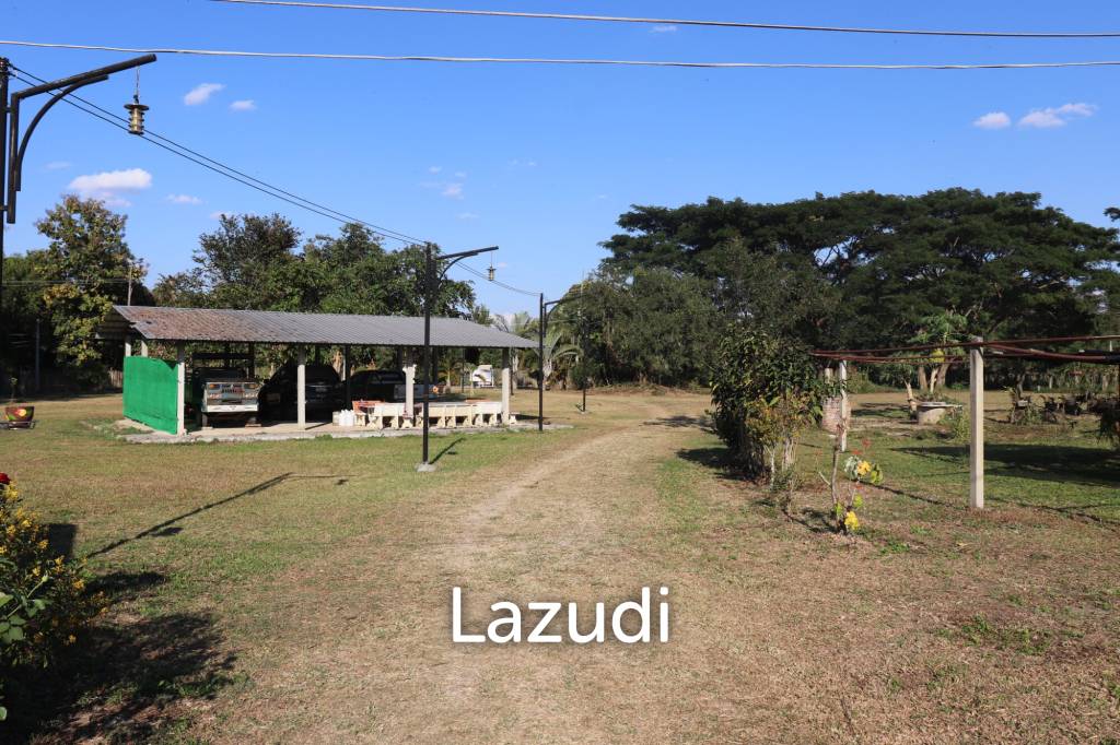 18 Rai Land with organic fruit trees for sale