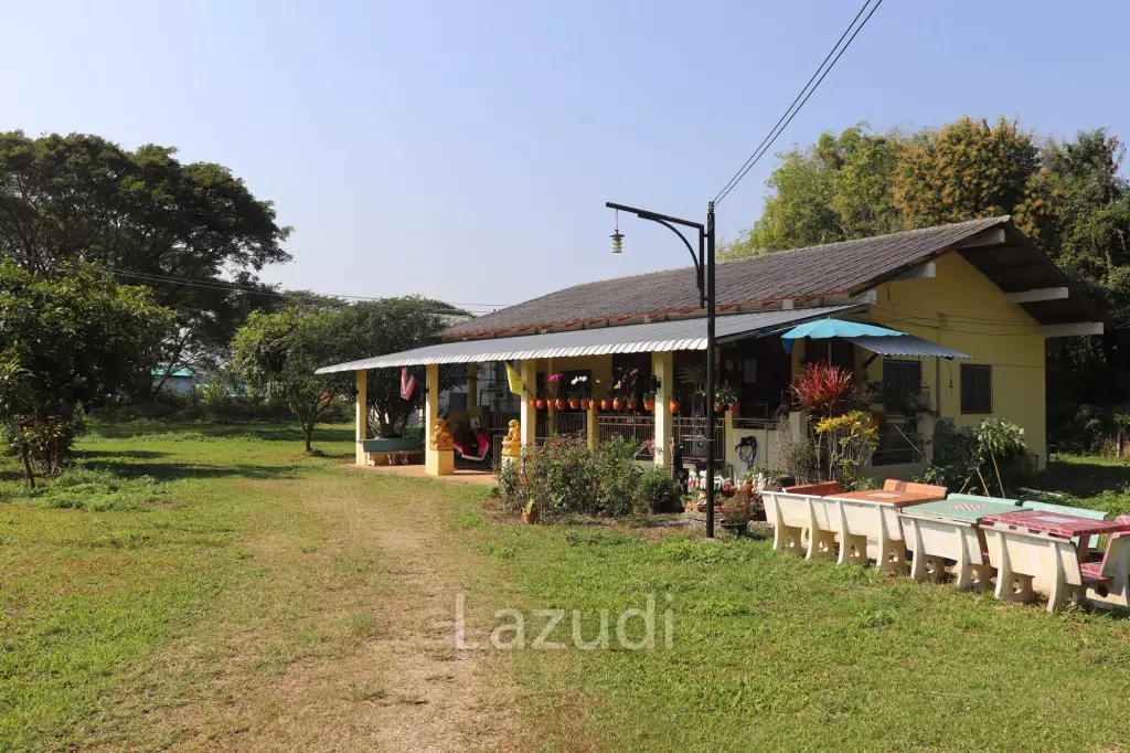 18 Rai Land with organic fruit trees for sale