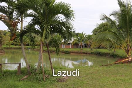 18 Rai Land with organic fruit trees for sale