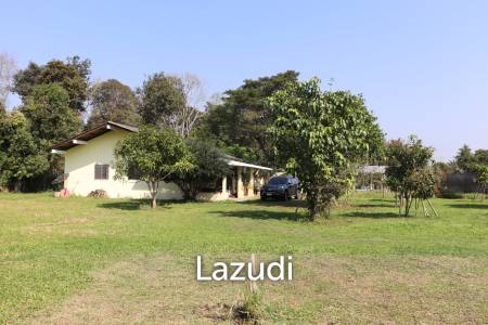 18 Rai Land with organic fruit trees for sale