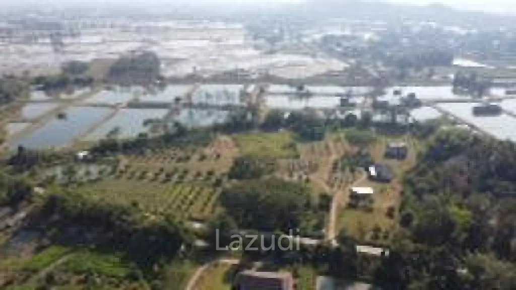 18 Rai Land with organic fruit trees for sale