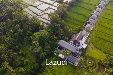 COSY VILLA RETREAT WITH FOREST VIEW AND JACUZZI IN UBUD