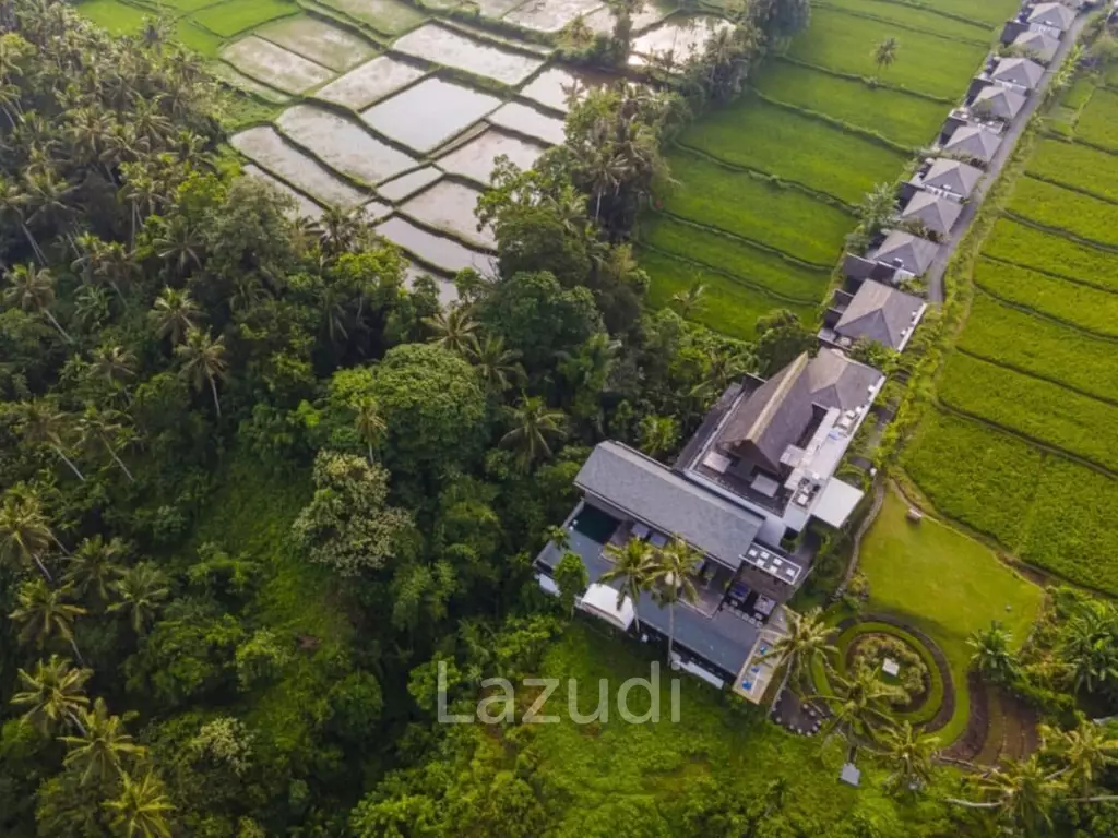 COSY VILLA RETREAT WITH FOREST VIEW AND JACUZZI IN UBUD