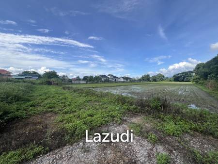 1,200 SQ.M. Land For Sale And Ready For Build Houses