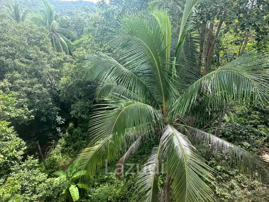 Finished and fully furnished 4 Bed 4 Bath 320 SQ.M
