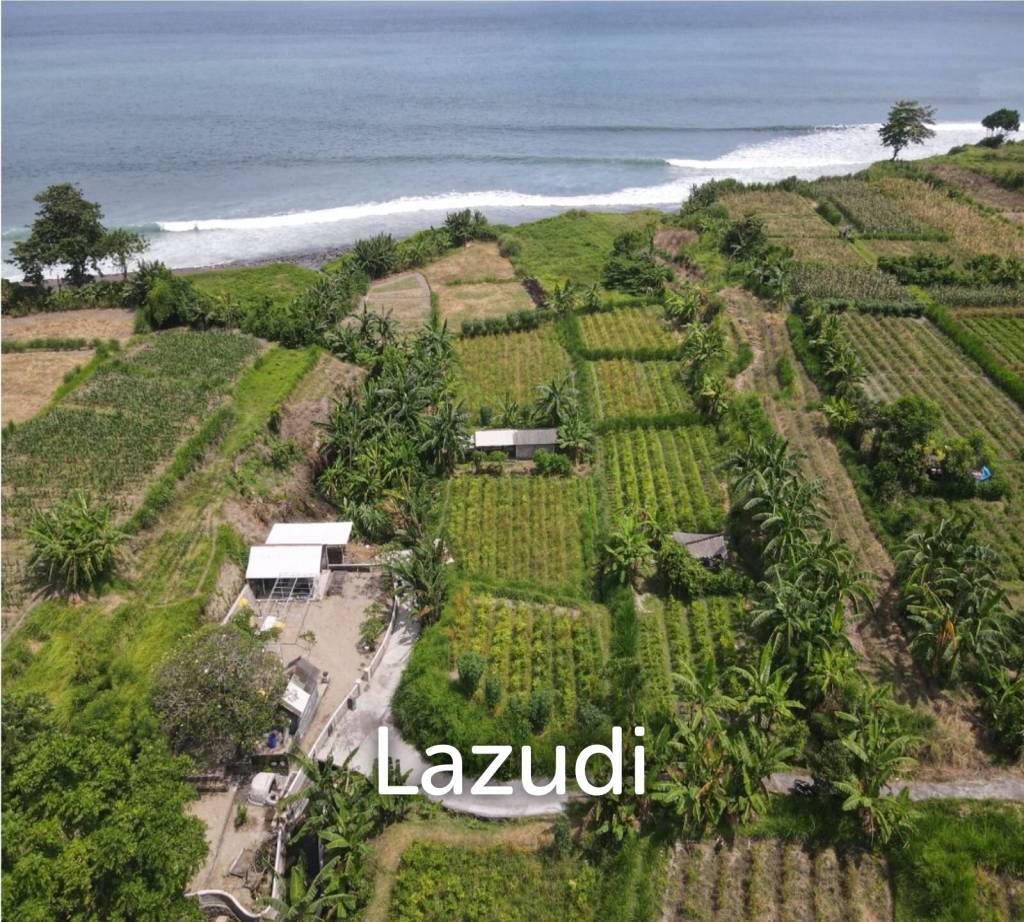 SPECTACULAR BEACHFRONT LAND FOR ADVENTURE ENTHUSIASTS IN KLUNGKUNG