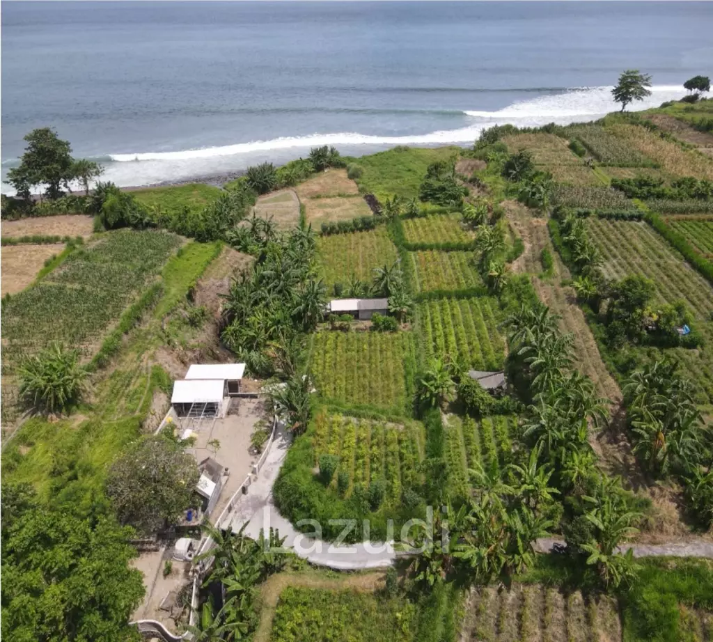 SPECTACULAR BEACHFRONT LAND FOR ADVENTURE ENTHUSIASTS IN KLUNGKUNG