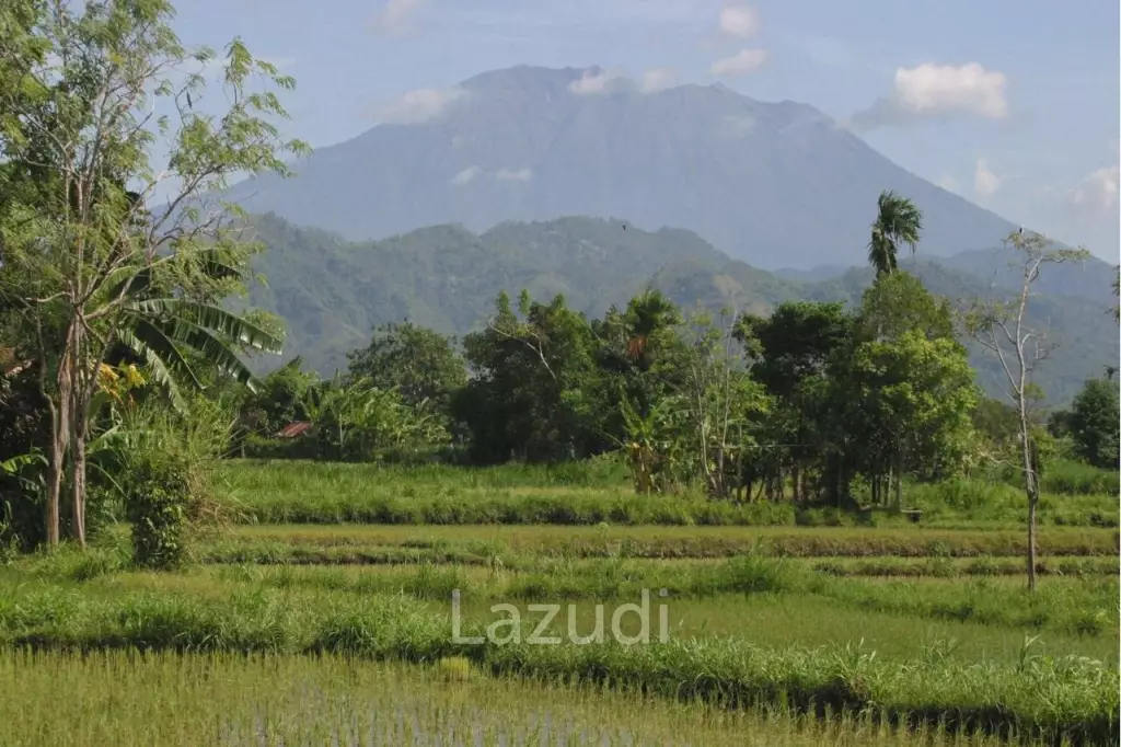 SPECTACULAR BEACHFRONT LAND FOR ADVENTURE ENTHUSIASTS IN KLUNGKUNG