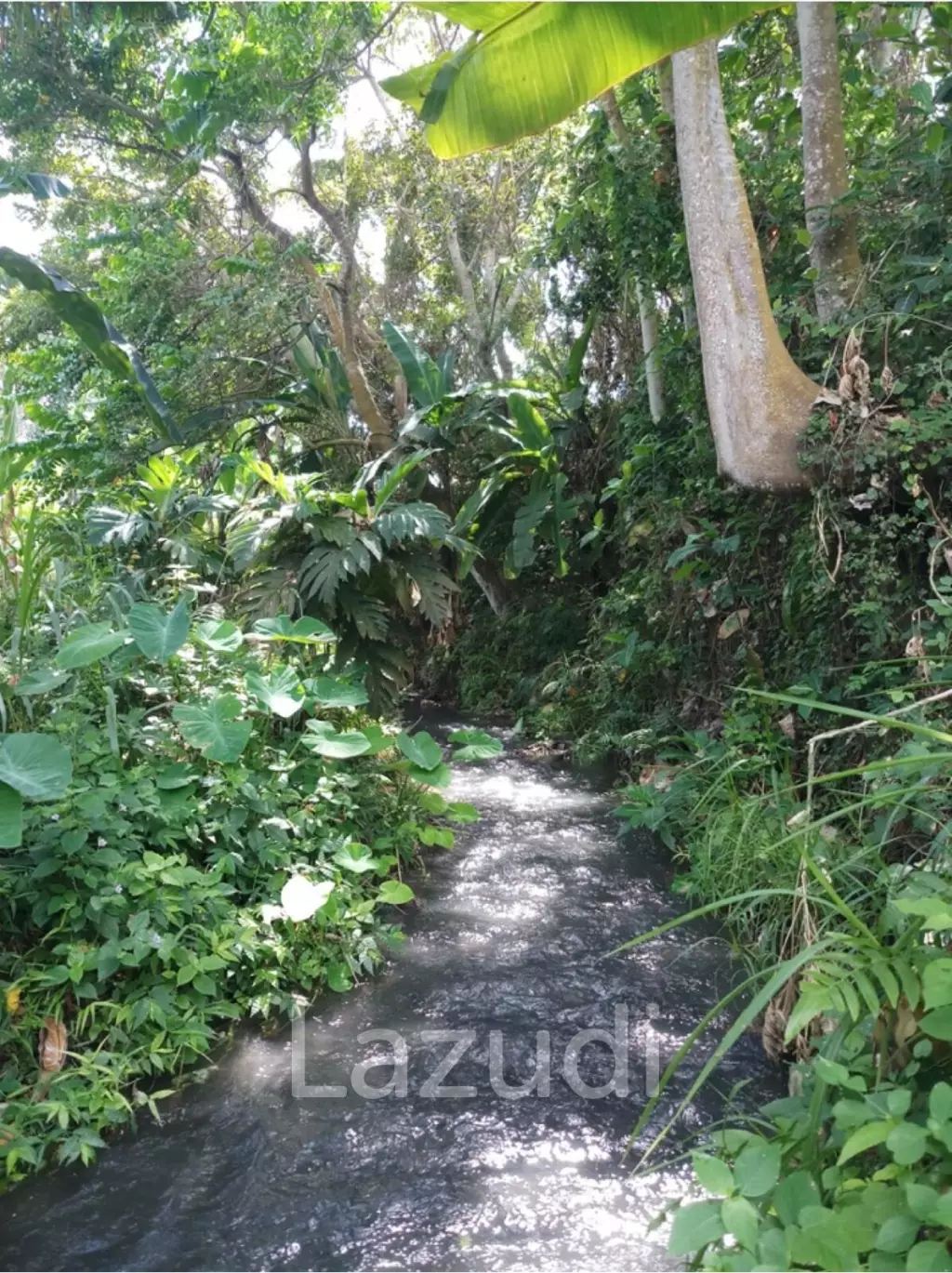 SPECTACULAR BEACHFRONT LAND FOR ADVENTURE ENTHUSIASTS IN KLUNGKUNG