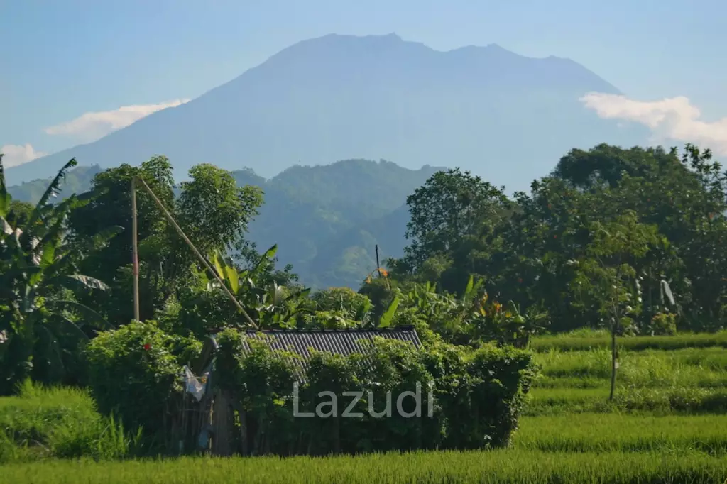 SPECTACULAR BEACHFRONT LAND FOR ADVENTURE ENTHUSIASTS IN KLUNGKUNG