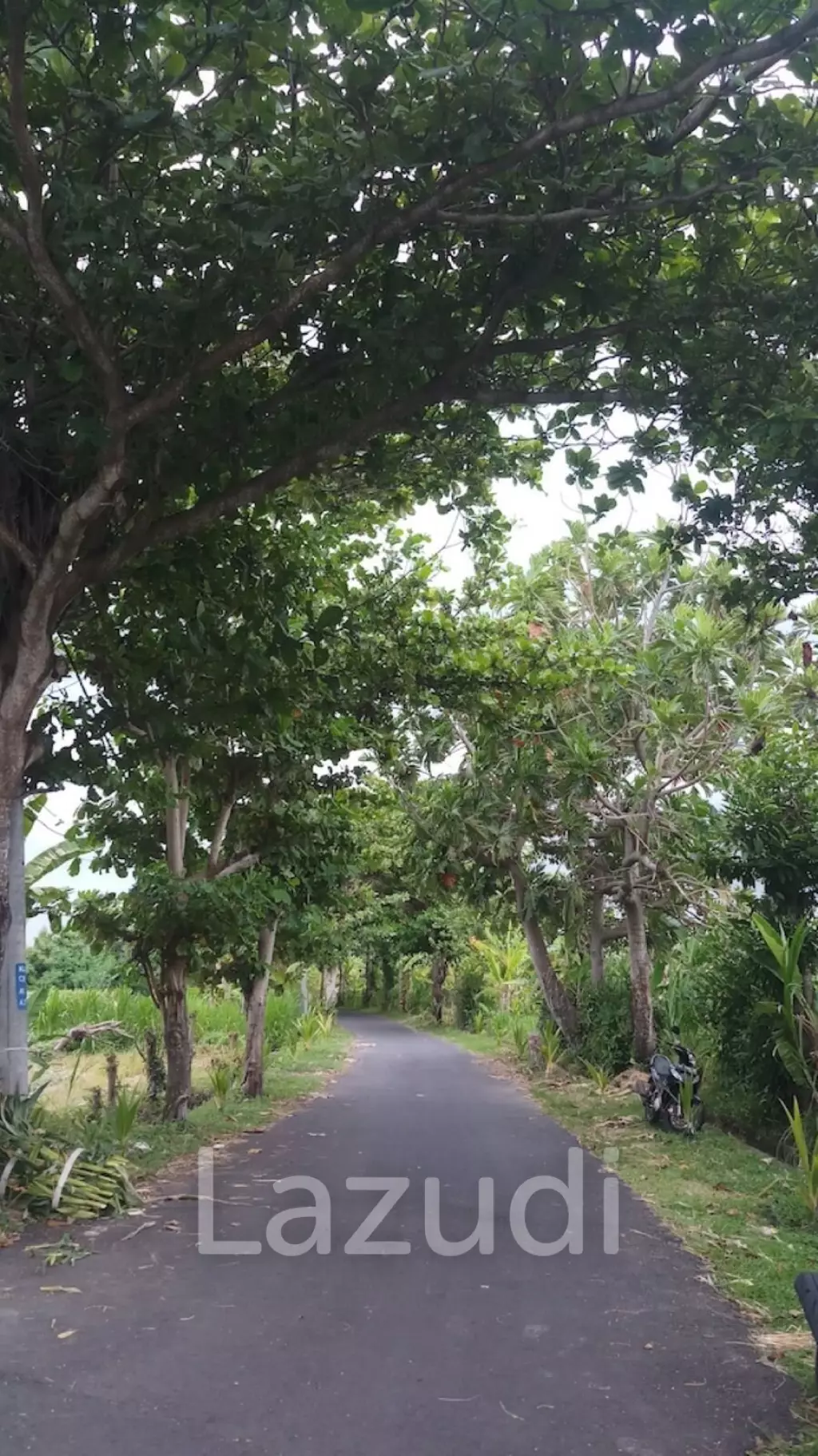 SPECTACULAR BEACHFRONT LAND FOR ADVENTURE ENTHUSIASTS IN KLUNGKUNG