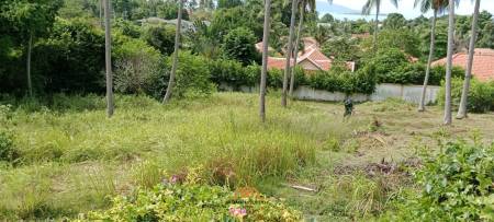 Land 1 Rai for sale in Bangrak, Ko Samui