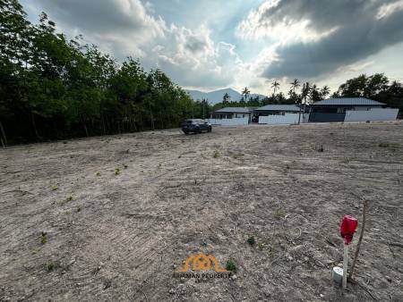 Flat Half Rai (800sqm) plots for Sale in Mae Nam, Ko Samui