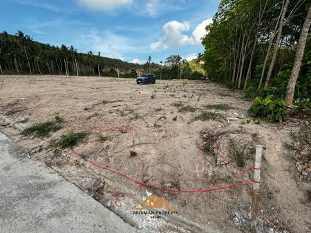 Flat Half Rai (800sqm) plots for Sale in Mae Nam, Ko Samui