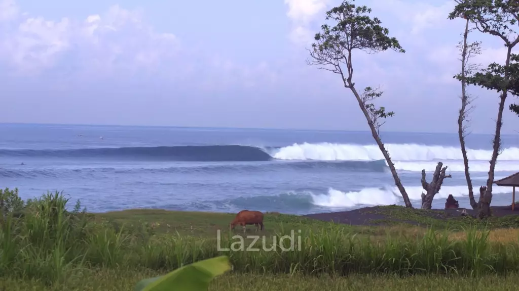 BEACHFRONT LAND IN KLUNGKUNG: A SURFER'S PARADISE
