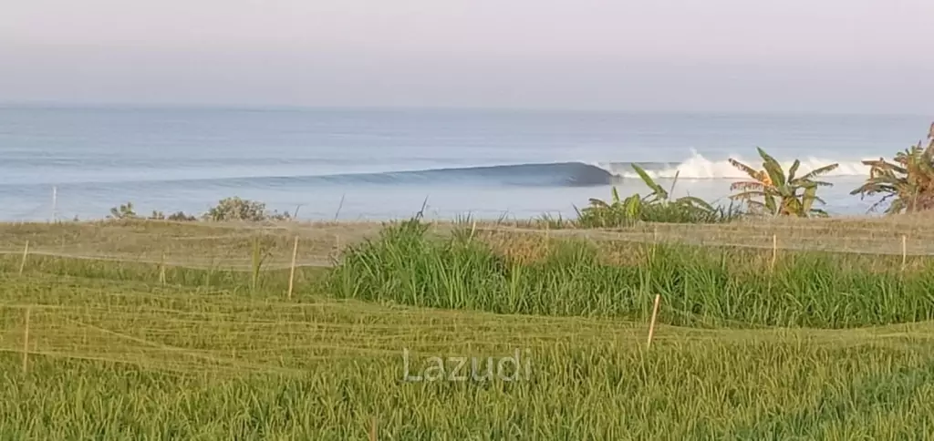 BEACHFRONT LAND IN KLUNGKUNG: A SURFER'S PARADISE