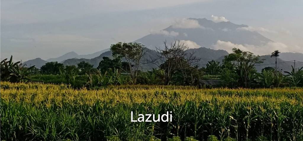 BEACHFRONT LAND IN KLUNGKUNG: A SURFER'S PARADISE