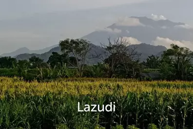 BEACHFRONT LAND IN KLUNGKUNG: A SURFER'S PARADISE
