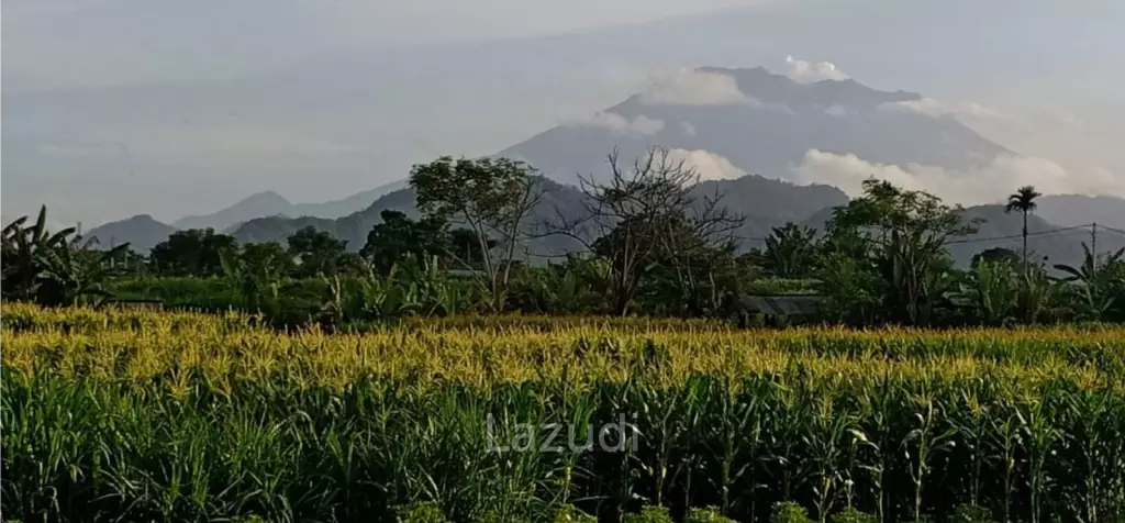BEACHFRONT LAND IN KLUNGKUNG: A SURFER'S PARADISE