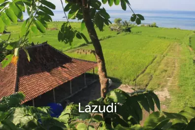 BEACHFRONT LAND IN KLUNGKUNG: A SURFER'S PARADISE