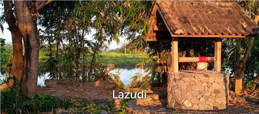 BEACHFRONT LAND IN KLUNGKUNG: A SURFER'S PARADISE