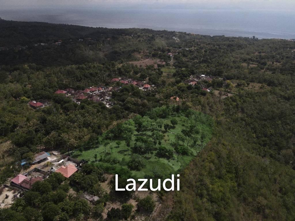 OCEAN-VIEW FREEHOLD LAND IN NUSA PENIDA