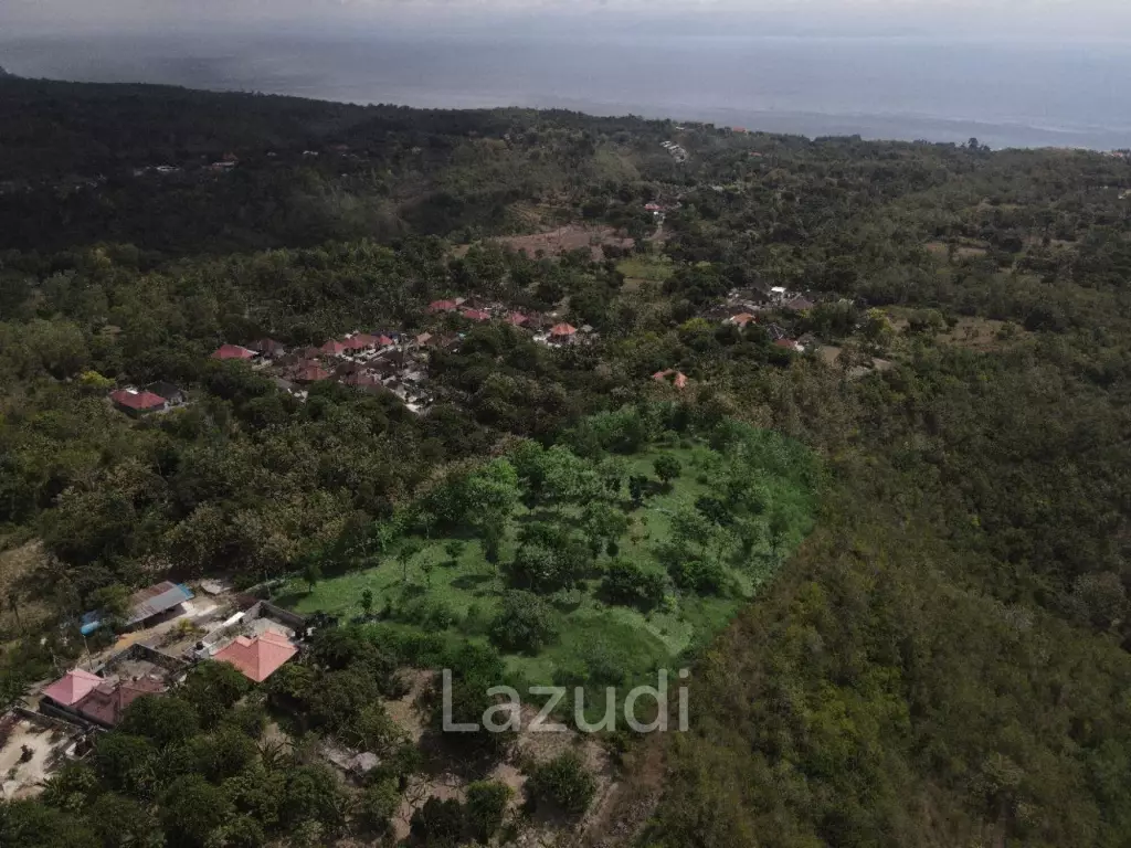 OCEAN-VIEW FREEHOLD LAND IN NUSA PENIDA