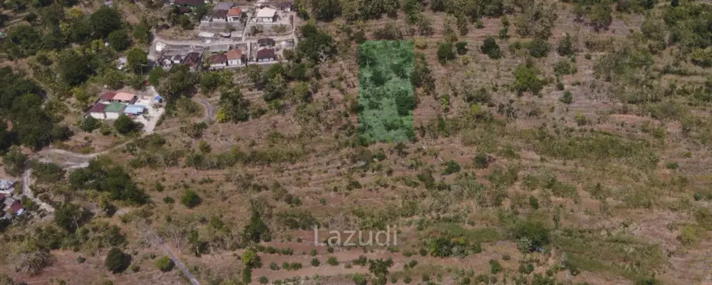 OCEAN-VIEW FREEHOLD LAND IN NUSA PENIDA