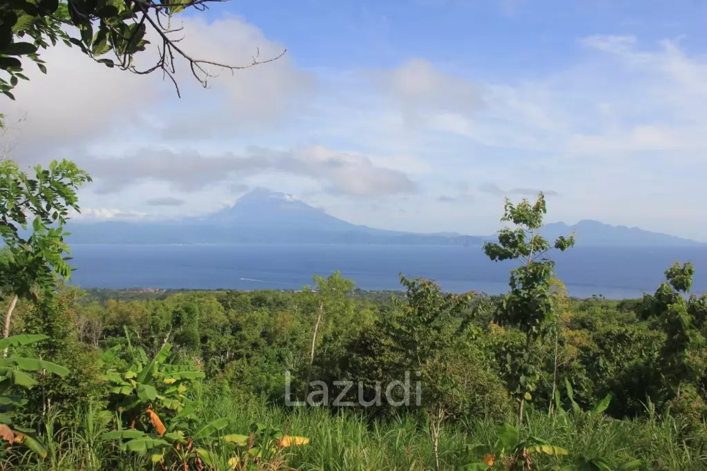 OCEAN-VIEW FREEHOLD LAND IN NUSA PENIDA