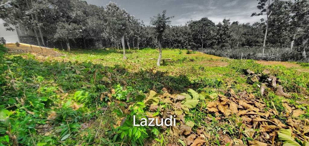SPACIOUS FREEHOLD LAND IN ULUWATU: IDEAL RESIDENTIAL OPPORTUNITY