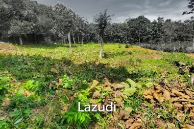 SPACIOUS FREEHOLD LAND IN ULUWATU: IDEAL RESIDENTIAL OPPORTUNITY