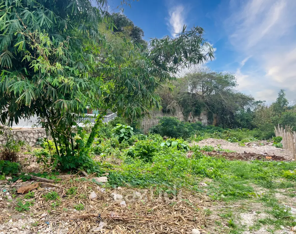 SPACIOUS FREEHOLD LAND IN UNGASAN