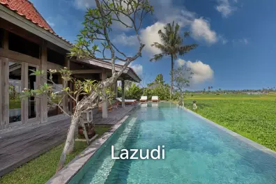 ELEGANT FREEHOLD VILLA WITH STUNNING RICE FIELD VIEWS IN NYANYI